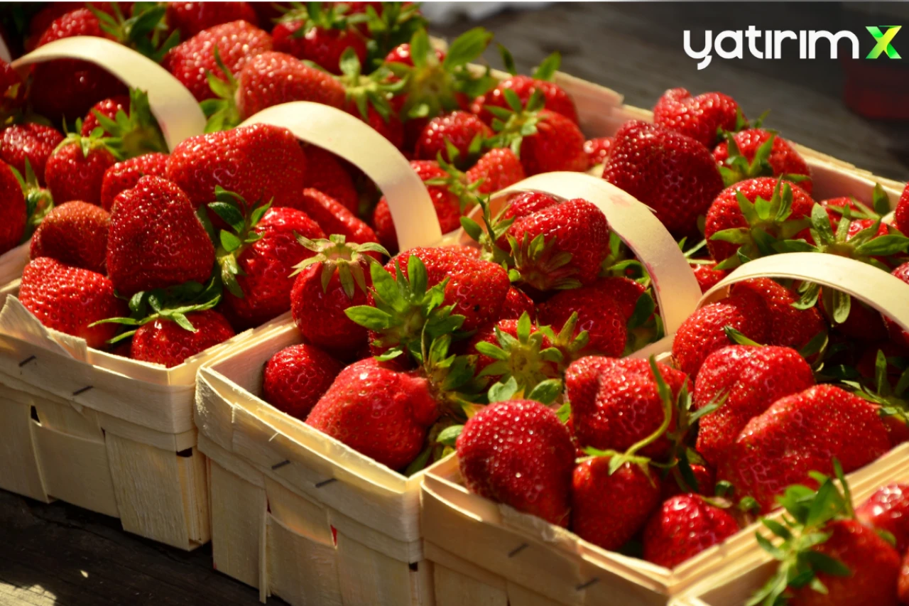 Çileğin fiyatı 90 liraya indi