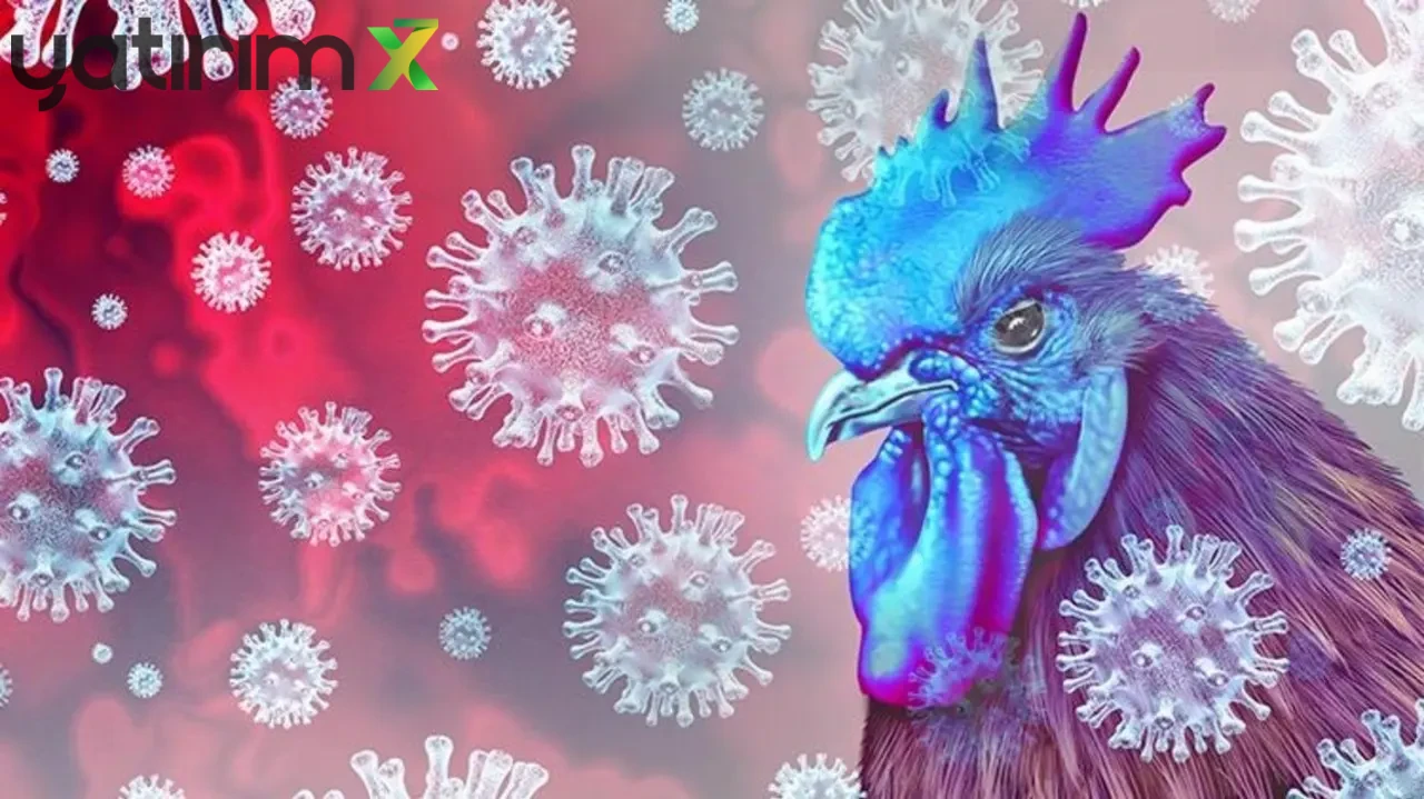 Kanatlı Sektöründe Büyük Tehlike! Kuş Gribi Afyon'da Geri Döndü