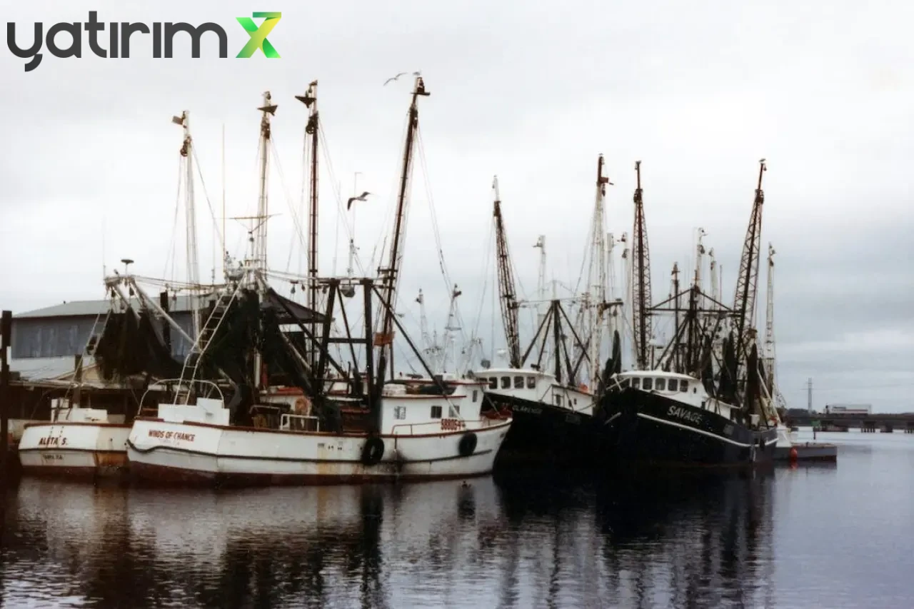 Bakanlık Açıkladı: Bu İllerdeki Balıkçılar Cüzdanları Dolduracak