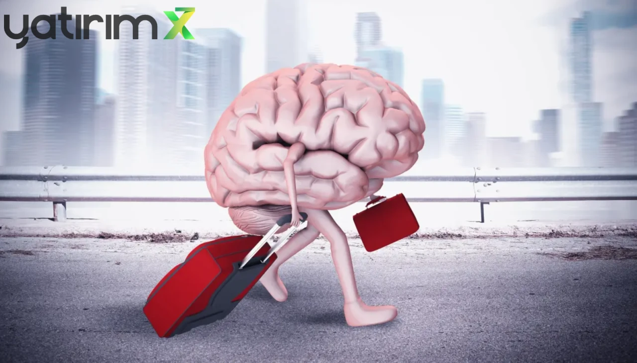 Türkiye Okuttu, ABD Kaptı: Beyin Göçünde Kimler, Nereye Akıyor?