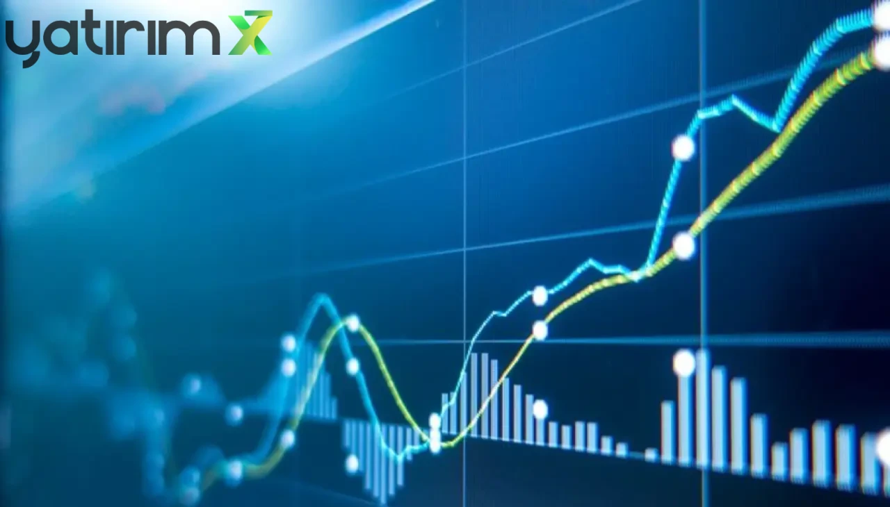 TEHOL Hisseleri Neden Çakıldı? Tabanı Getiren Olay KAP’tan mı Geldi?