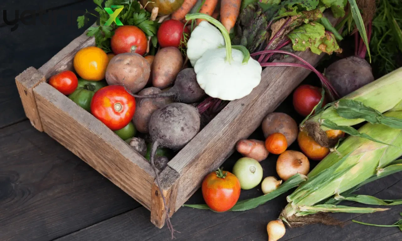 Küresel Gıda Fiyatları Düşerken Türkiye Zirvede: Fark Yüzde 583'e Ulaştı