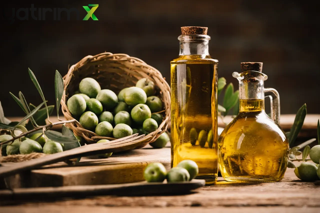 Marmarabirlik 2025-2026 Zeytin Alım Fiyatlarını Açıkladı: Tavan Fiyat 160 TL