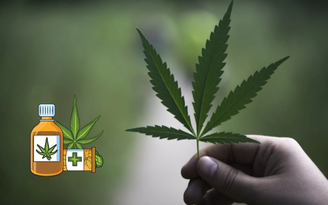 Merak Edilen Madde "THC" Nedir? THC Açılımı nedir?