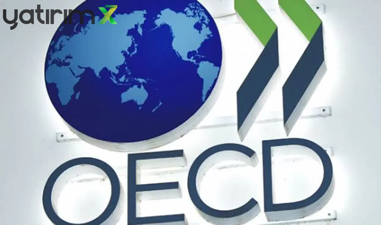 OECD'e göre Türkiye Ekonomisi, 21 Çeyrek Büyüme Serisiyle G20'de İlk 5'te