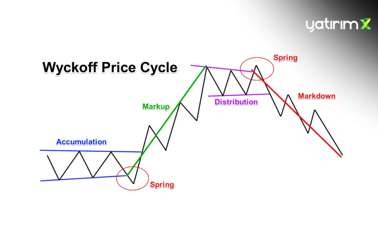 Cycle Çizgileri Nedir?