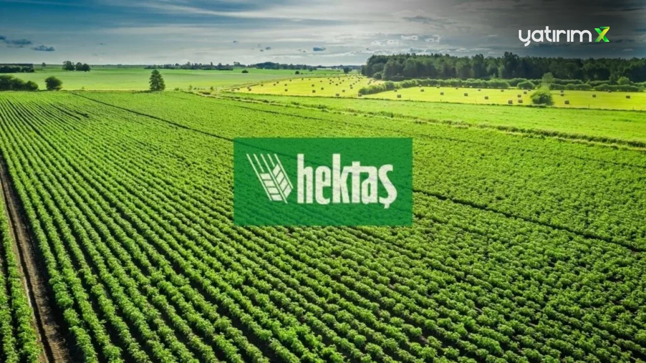 Hektaş (HEKTS) Hisse Yorumu ve 2025 Hedef Fiyat Analizi