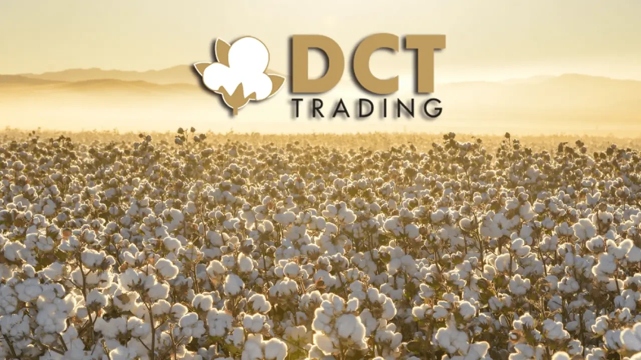 Pamukta Rüzgârı Arkasına Aldı, Kârı Katladı: DCT Trading’den Rekor Gibi İlk Çeyrek!
