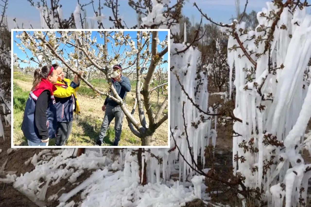 Zirai Donun Vurduğu 13 İlde Çiftçiler Tazminat Talebiyle Sahaya İndi
