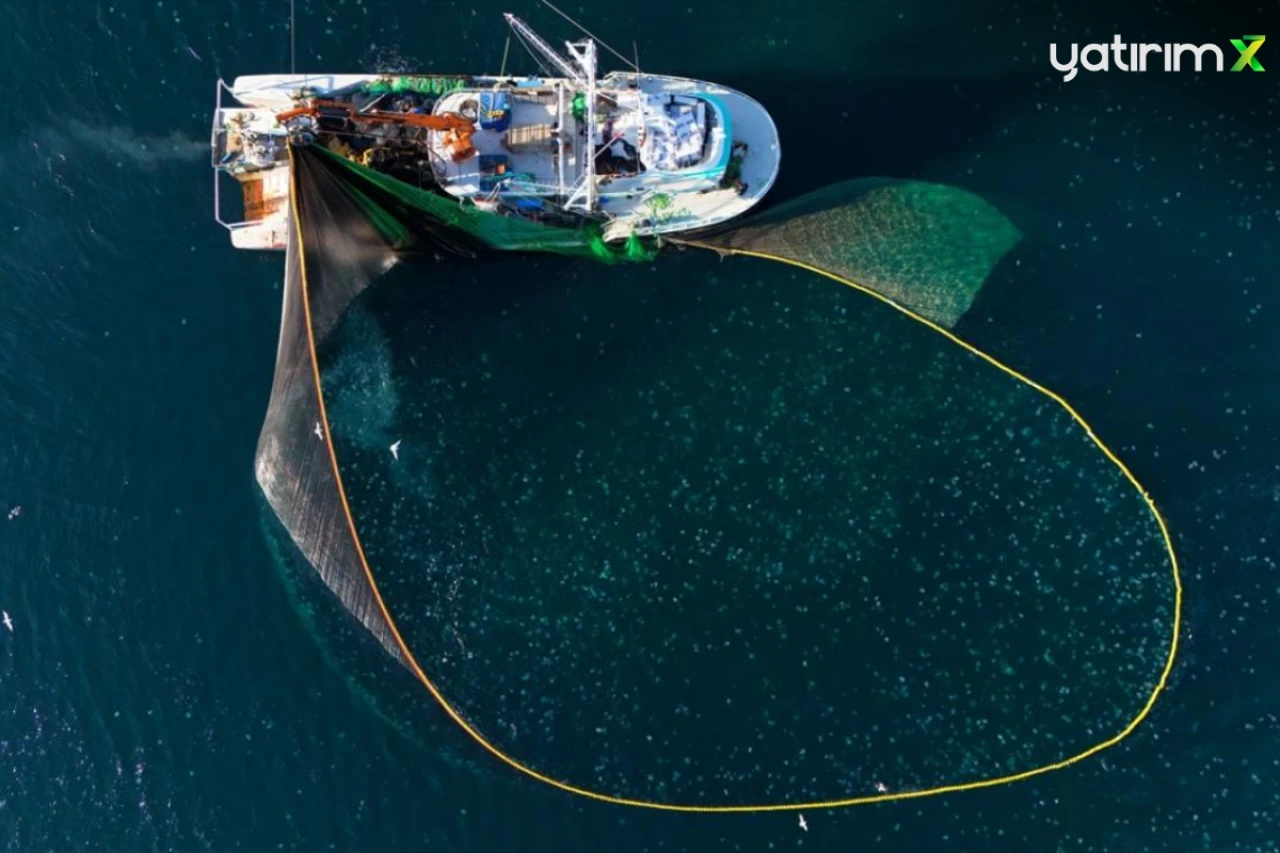 Doğu Karadeniz'den Yapılan İhracat Rakamları Açıklandı