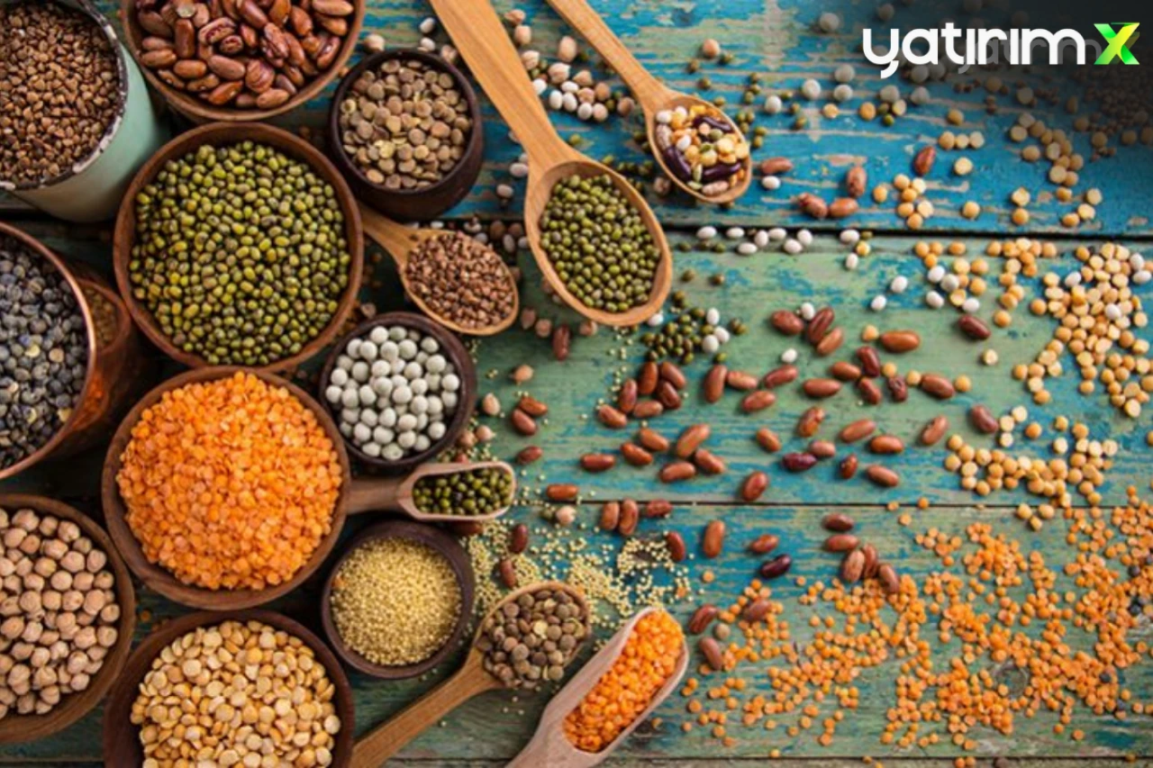 Güneydoğu Anadolu'dan Yüksek Hububat İhracatı