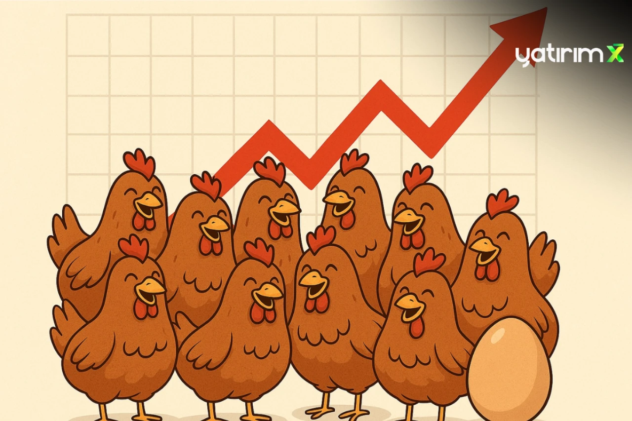 TÜİK açıkladı: tavuk eti üretimi artarken, yumurta üretiminde düşüş yaşandı