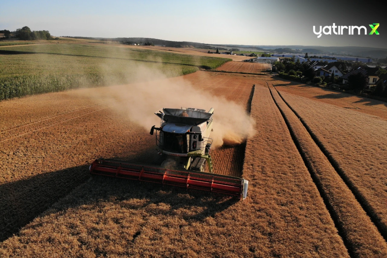 Türkiye Tarımsal Hasıla Rekoru Kırarak İlk 7'ye Girdi