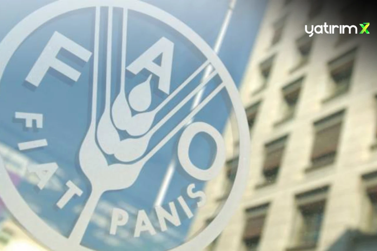 Türkiye, FAO Konsey Üyeliğine Seçildi