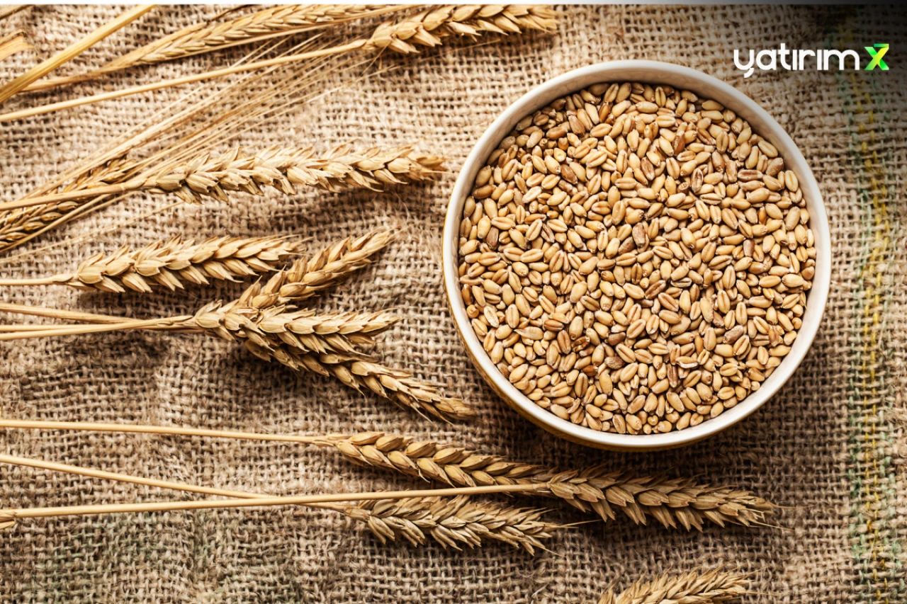 Hububat ve Bakliyat İhracatı İlk 6 Ayda Yüzde 4,5 Arttı