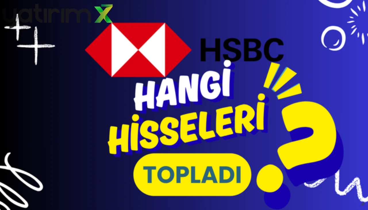 HSBC en çok SASA aldı, FROTO sattı! İşte o hisse listesi