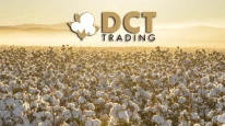 Pamukta Rüzgârı Arkasına Aldı, Kârı Katladı: DCT Trading’den Rekor Gibi İlk Çeyrek!