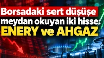 Borsadaki sert düşüşe meydan okuyan iki hisse: ENERY ve AHGAZ