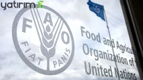 FAO verileri açıklandı: Et fiyatları rekor kırdı, artış sürüyor
