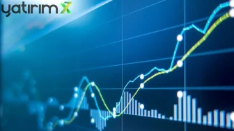 TEHOL Hisseleri Neden Çakıldı? Tabanı Getiren Olay KAP’tan mı Geldi?