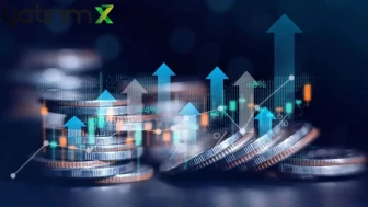 REEDR'da Büyük Hareketlilik: 56 Milyon Lot Satış İçin Hazırlanıyor