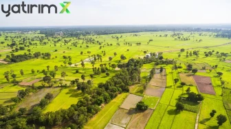 Toprakta Fren! İşte Arsa ve Tarla Fiyatlarının Reel Kayıp Yaşattığı Şehirler