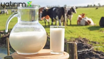 Çiğ Süt Fiyatı Ne Kadar Oldu? TÜSEDAD'dan Litre Başına 27 TL Tavsiyesi