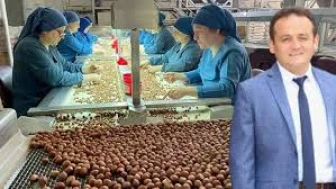 Şahinler Fındık Başkanı Özcan Şahin'den NAS Ekonomisi Tepkisi