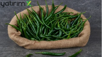 Türkiye’den Avrupa’ya Gıda İhracatında Pestisit Krizi: 105 Bildirim Geldi