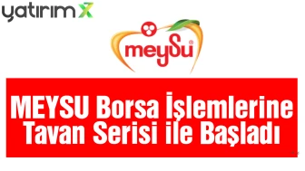 Taze Halka Arz MEYSU Borsaya Tavanla Girdi! Tavanda Bekleyen Lot Sayısı Kaç?