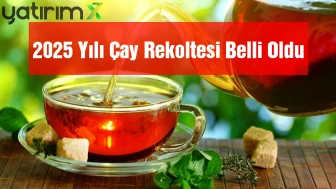 2025 Yılı Çay Rekoltesi Açıklandı: Yüzde 7,68'lik Düşüş Dikkat Çekti!