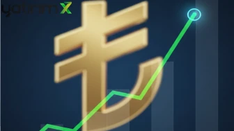 TL'nin Değerinde Ocak Artışı: Reel Efektif Döviz Kuru 102,17'ye Yükseldi