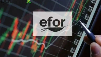 Tarımsal Üretimde EFOR Etkisi: 300 Milyon TL’lik Satış Planı Devrede