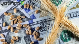 Küresel Tarım Piyasasında Savaş ve Kuraklık Alarmı: Buğday Fiyatları Hareketlendi