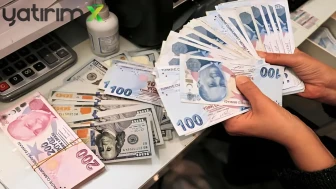 TL, Gelişen Piyasalarda Dolara Karşı Direnen Tek Para Birimi Oldu