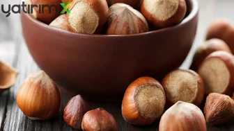 Ticaret Borsalarında 6 Ayda 239 Bin Tona Yakın Fındık İşlem Gördü