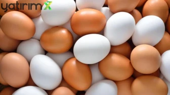 Yumurta İhracat Kotası Artırıldı: Fiyatlar Zamlanacak mı?
