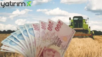 Çiftçilere 19,5 Milyar TL Tarımsal Destek Ödemesi Yapılıyor