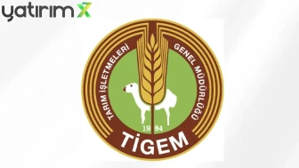 TİGEM 600 Bafra Irkı Küçükbaş Hayvan Satacak: İhale Detayları