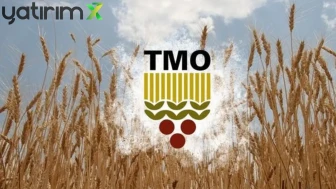 TMO'dan Yunanistan Pirinci İddiasına Açıklama