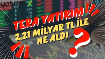 Borsa düştü, Tera Yatırım topladı: İşte listedeki 10 hisse