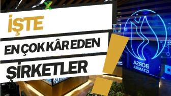 Hisselerin kâr ligi: Zirvedeki 10 şirket belli oldu