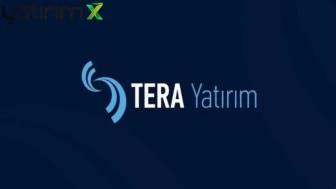 Tera Yatırım hangi hisseleri topluyor? TEHOL, PEKGY, TERA...