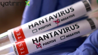 Sağlık Bakanlığı'ndan Hantavirüs açıklaması: Türkiye'de vaka var mı?