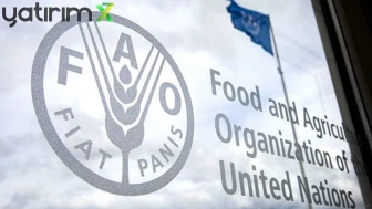 FAO verileri açıklandı: Et fiyatları rekor kırdı, artış sürüyor