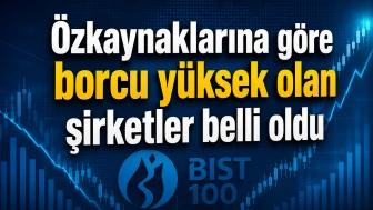 Özkaynaklarına göre borcu yüksek olan şirketler