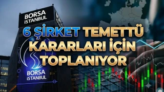 Borsada yarın 6 şirketin temettü gündemli genel kurulu var