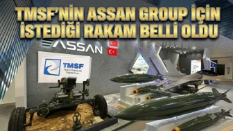 TMSF, Assan Group'u 416,5 milyon dolara satışa çıkardı