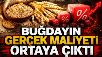 1 kilo buğdayın maliyeti şaşırttı