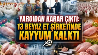 Beyaz et sektöründe 13 şirket için kayyum kararı kaldırıldı